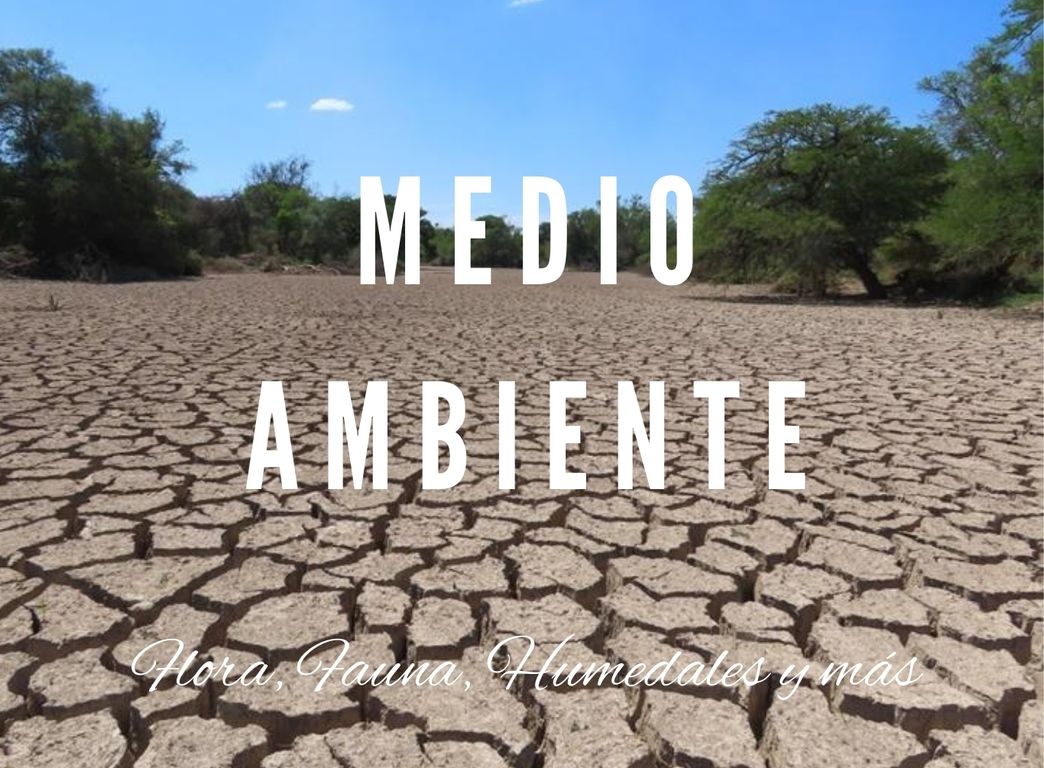 Medio Ambiente